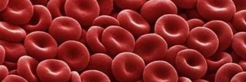 Sanquin3